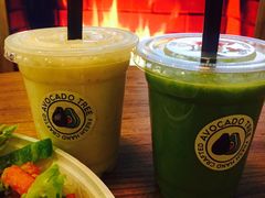 -油梨树 AVOCADO TREE(亮马桥店)