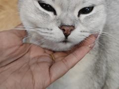 -悠米私人影院(街道口店)