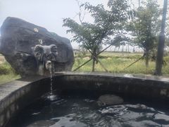 -青岛海泉湾度假区温泉