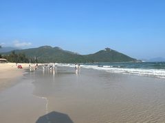 -西涌国际滨海旅游区