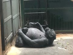 -石家庄市动物园