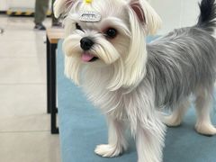 -美联众合动物医院·24h京西诊疗中心