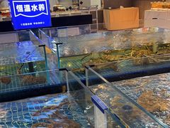 -禄海渔港(九堡店)