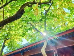 -红螺寺
