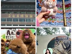 -青藏高原野生动物园
