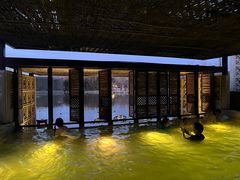 -春晖园度假酒店温泉