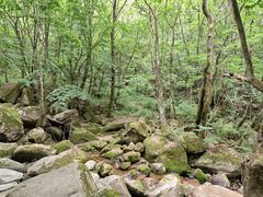 -小陇山国家森林公园桃花沟景区