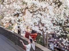 -潭柘寺景区