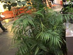 -九尊食上(生态园林酒店)