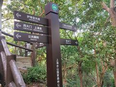 -上海佘山国家森林公园天马山园