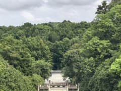 -宜兴龙背山森林公园