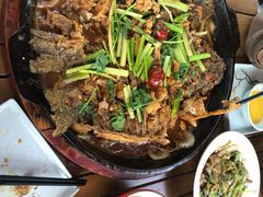 老板恋上鱼-老板恋上鱼(恒隆广场店)