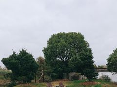 -影居starhoho·泳池别墅轰趴馆·天璇