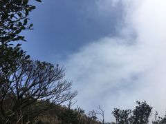 -银瓶嘴森林公园