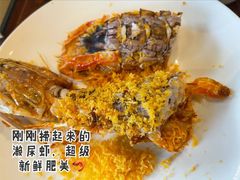 -顺德了能馆(虎门店)