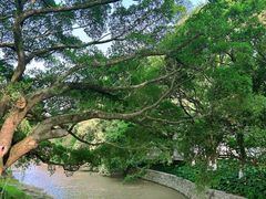 -江心屿景区