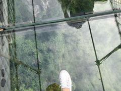 -梦幻奥陶纪景区