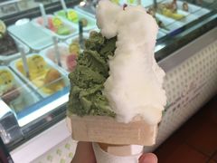 -柠檬车露(卖草地店)