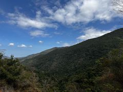 -霸王岭国家森林公园
