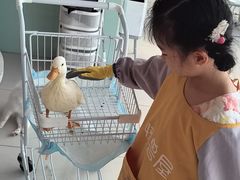 -怪兽屋·羊驼·猫咖·狗咖(俊华广场店)