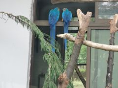 -上方山森林动物世界