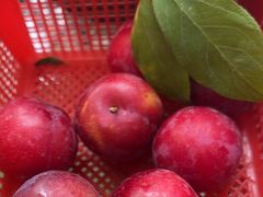 -正宗火盆自助烧烤·烤全羊·柴火鸡(龙泉山店)