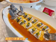 -人间采蜜(海信广场店)