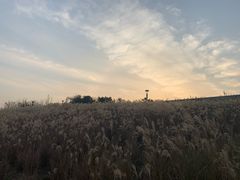-明洞轩正统韩国自助烤肉大渡口店(新天泽国际广场店)