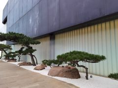 -罗红摄影艺术馆