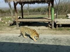 -西安秦岭野生动物园
