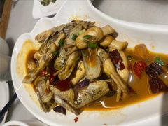 蛏子-华盛丰温州大排档(东三环南路店)