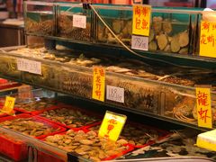 自助取餐区-鲜入围煮花胶鸡海鲜火锅