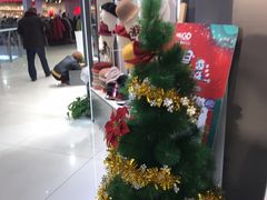 -卓锦曼购中心(国香街店)