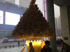 -鹏欣水游城