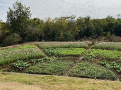 -盘龙城遗址博物院