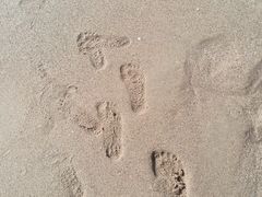 -西涌国际滨海旅游区