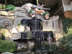 -南宫五洲植物乐园