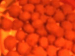 -Helens海伦司小酒馆(南京洪武路店)