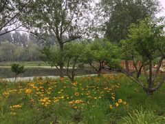 -东郊湿地公园