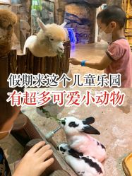 -宝燕乐园(闵行旗舰店)