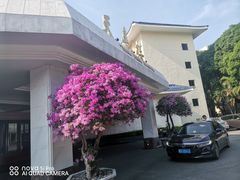 -厦门悦华酒店