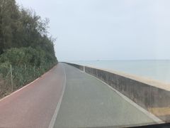 -北海金海湾红树林生态旅游区