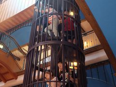 -三鹰之森吉卜力美术馆