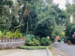-深圳仙湖植物园