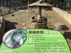 -大连森林动物园