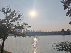 -武汉动物园