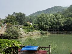 -双新垂钓园