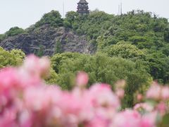 -上海辰山植物园