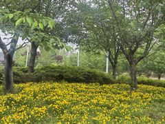 -苏州上方山国家森林公园