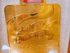 -勇气斑马·巴西柔术&跆拳道(浦东三林店)